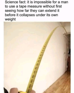 1747783774769.png