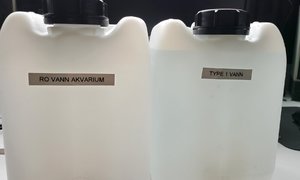 20250523_093311.jpg