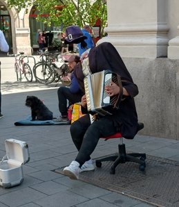 20250519_121527.JPG