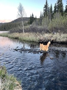 IMG_4146.jpeg