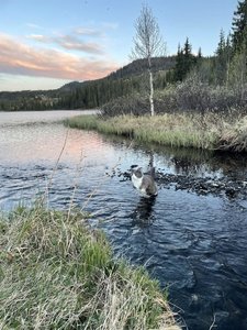 IMG_4148.jpeg