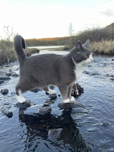 IMG_4143.jpeg