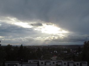 IMG_3204.JPG