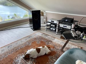 IMG_0352.jpeg