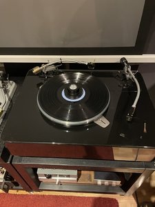IMG_2135.jpeg