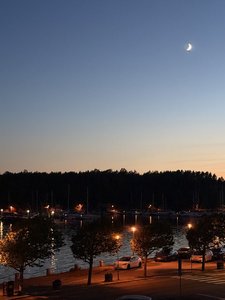 IMG_0290.jpeg