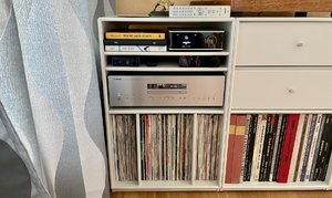 IMG_5627.jpeg