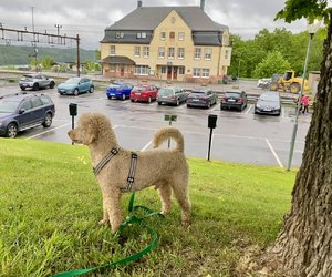 IMG_5318.jpeg