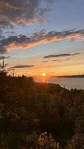 IMG_4179.jpeg