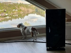 IMG_0507.jpeg