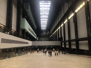 IMG_9769.jpeg