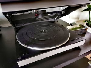 IMG_20250609_191042.jpg