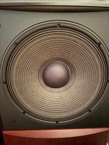 IMG_4394.jpeg