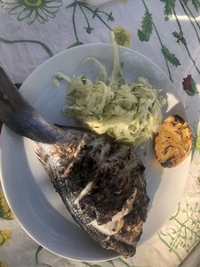 IMG_9784.jpeg