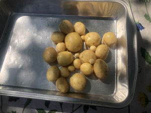 IMG_9787.jpeg