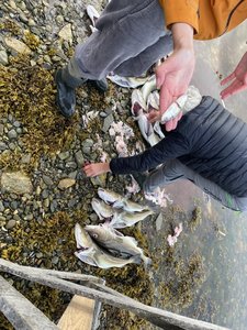 IMG_1133.jpeg