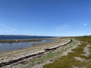 IMG_1285.jpeg