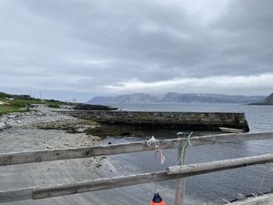IMG_1342.jpeg
