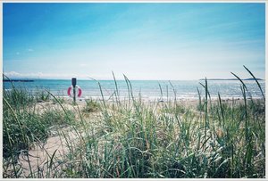 IMG_4980.jpeg
