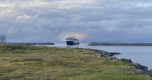 IMG_1391.jpeg