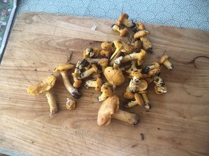 IMG_9902.jpeg