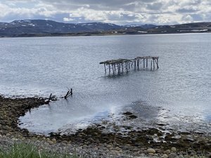 IMG_1441.jpeg