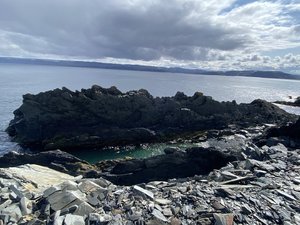 IMG_1443.jpeg