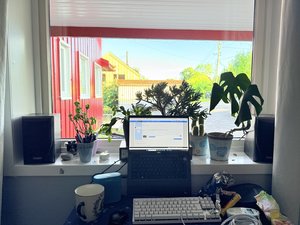 IMG_5541.jpeg