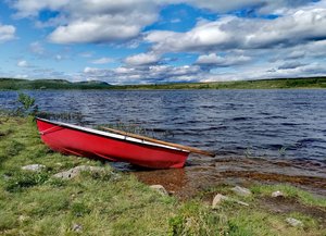 IMG_20250622_110742.jpg