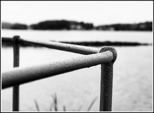 IMG_5078.jpeg