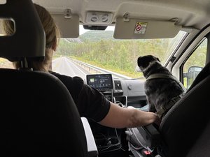 IMG_2776.jpeg