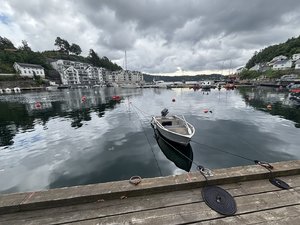 IMG_2805.jpeg