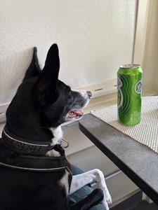IMG_2852.jpeg