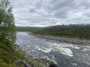IMG_1504.jpeg