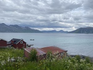 IMG_1572.jpeg