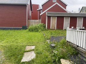 IMG_1587.jpeg