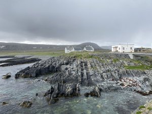 IMG_1426.jpeg