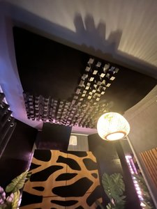 IMG_1451.jpeg