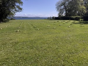 IMG_0643.jpeg