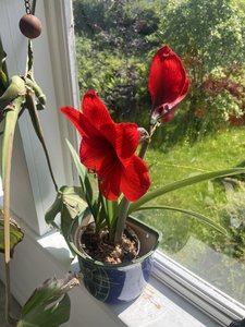 IMG_5894.jpeg