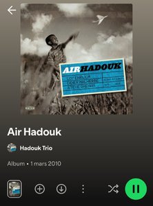 Screenshot_20250707_173734_Spotify.jpg