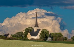 IMG_5735.jpeg