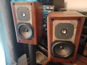 T105 Focal.jpg