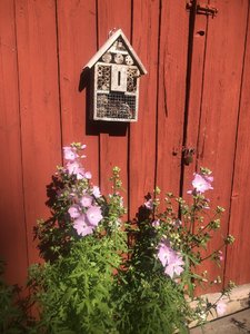 IMG_0007.jpeg