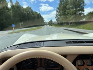 IMG_5960.jpeg