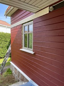 IMG_4421.jpeg