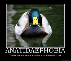duck is watching.jpg