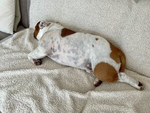 IMG_0619.jpeg