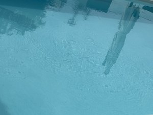 IMG_3147.jpeg