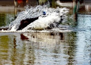 IMG_20250720_165808.jpg